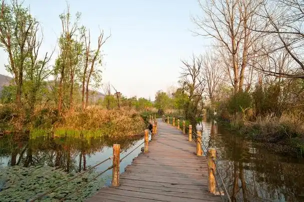东堤公园是一个美丽的公园,位于天津市滨海新区.