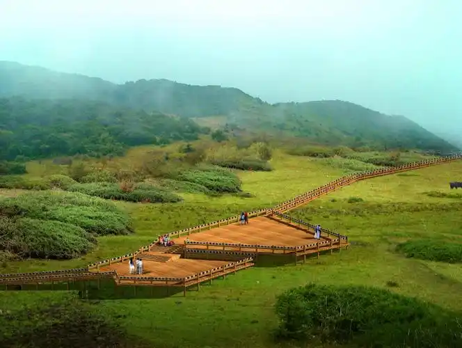 中国秦岭亚高山草甸旅游项目开发策划