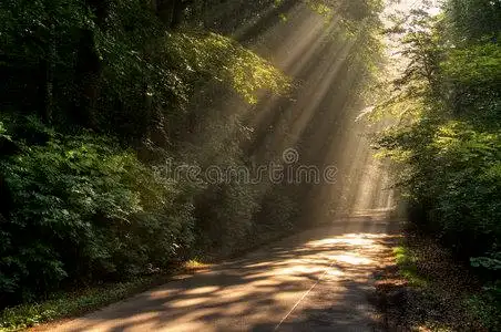 光太阳太阳光照片