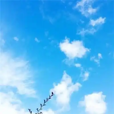 2021年吉利微信头像图片大全 最吉利招财的微信头像