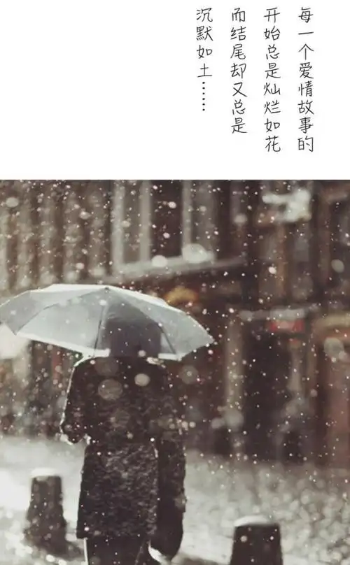 唯美情感文字图片