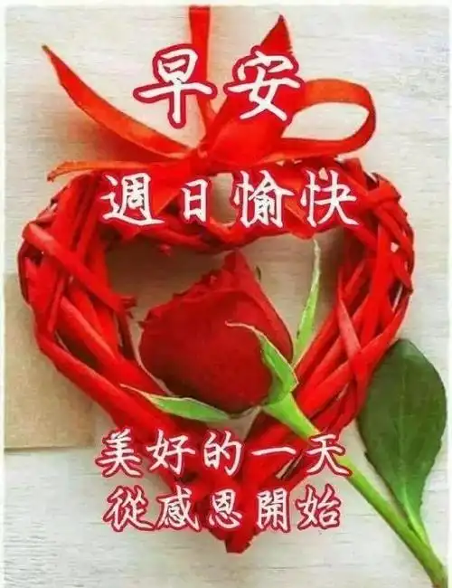 夏天周日暖心的早安问候祝福语早上好祝福语漂亮动态图片
