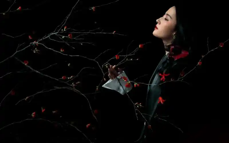 刘亦菲光影性感高清桌面壁纸