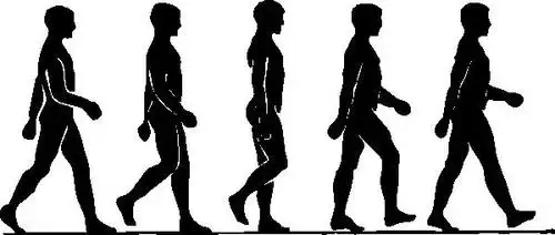 人走路时为什么要甩手?顺拐了咋这么难受?