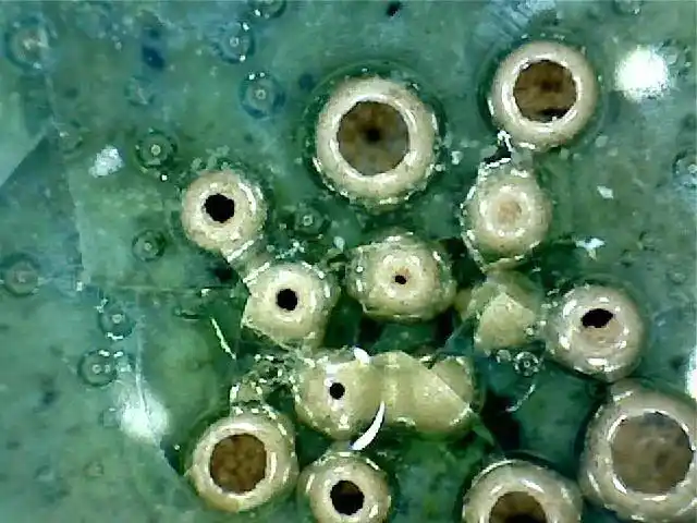 写美篇微观放大100倍可以看到北宋汝窑青瓷年代气泡老化的痕迹