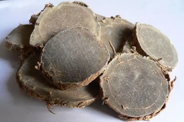 醋莪术的功效与作用(植物) - 行就行