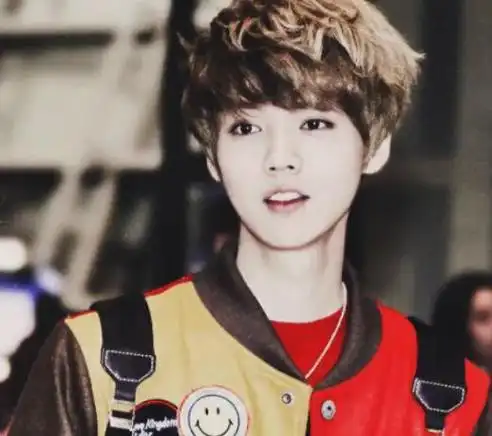 几年的学习之后,鹿晗加入韩国团体exo.