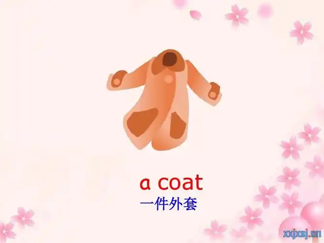 coat 一件外套