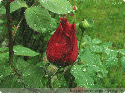 400_300gif 动态图 动图