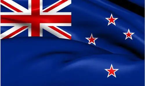 一名新西兰技术移民因打人,被取消身份遣返回国