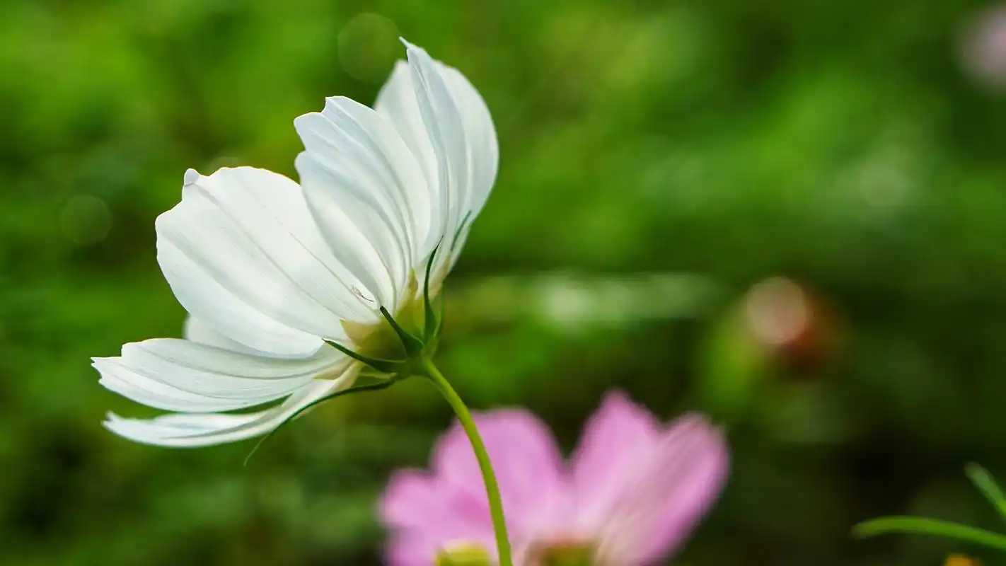 ins粉丝群怎么进(instagram大陆注册不了解决办法)