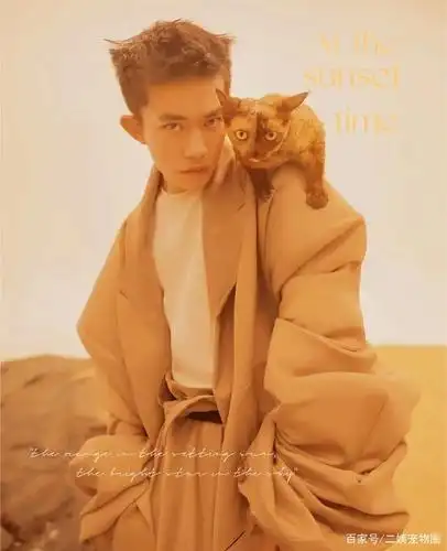 自从2017年领养第一只猫咪,他已经成为了十多只猫的铲屎官,"易烊千玺