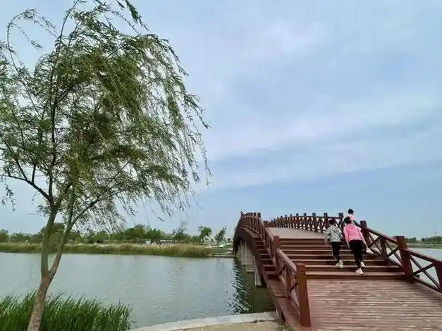 强力升温|惠民|衡水市|衡水湖|衡水站|滨湖新区|文化旅游_网易订阅