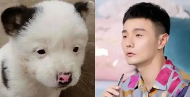 李荣浩的歌特别火,他那双小眼睛也特别有魅力