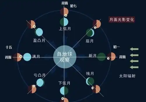 即月球的自转周期和公转周期严格同步,在地球上看来永远只能看到月球