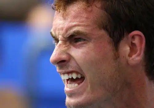 图文:罗杰斯杯穆雷2-0费雷罗 穆雷表情狰狞