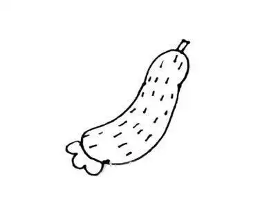 如何画黄瓜简笔画步骤图解教程