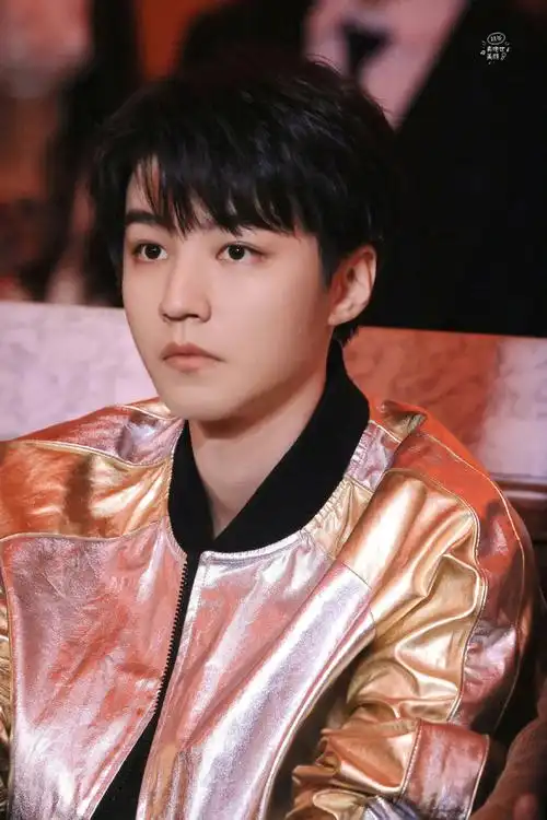 置顶王俊凯超话#王俊凯#酒 会上迷人的王俊凯@tfboys-王俊凯