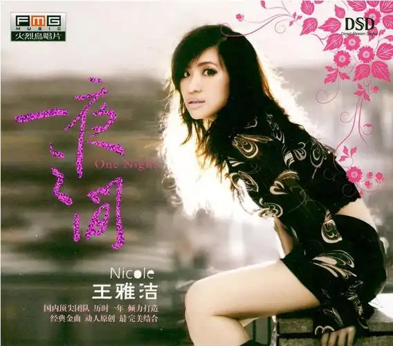 王雅洁《一夜之间 dsd》[wav/百度云]