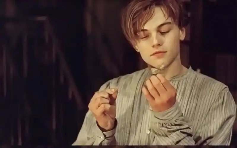 【心之全蚀】小李子莱昂纳多盛世美颜——everytime