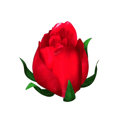 爱是永恒的旋律,爱是我也是你