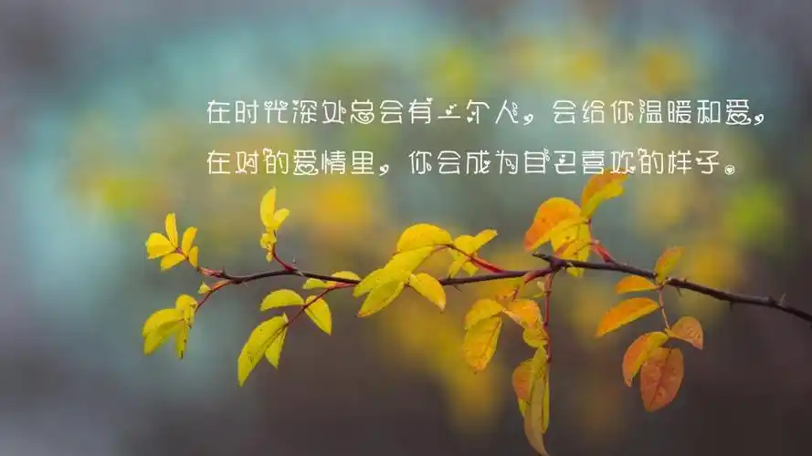 关于美好人生的心情说说治愈句子图片