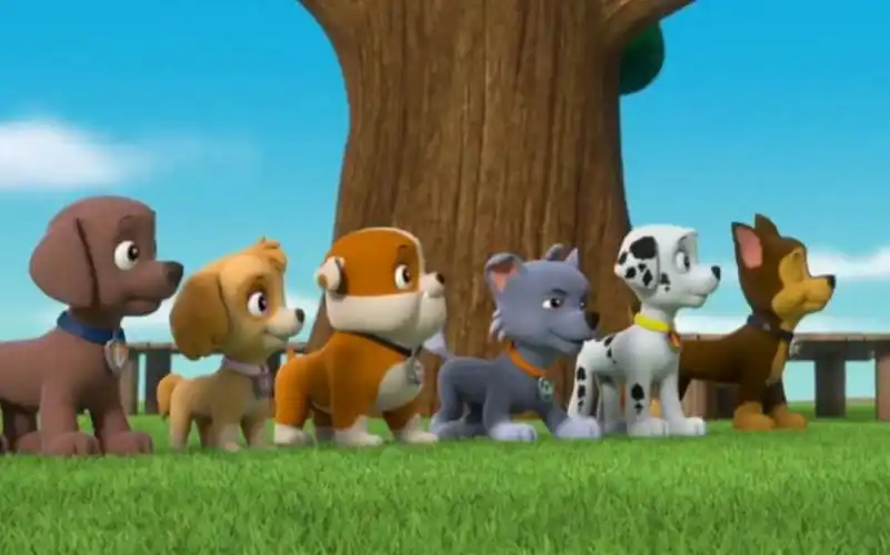 【汪汪队】狗狗们的游玩时间2