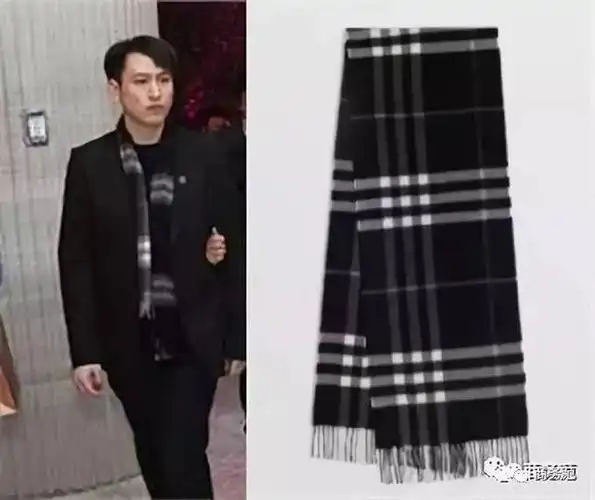 汤臣一品说范冰冰没买房,豪宅少东家了解下