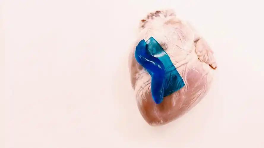 美国哈佛大学开发出一种具有超强黏性的医用黏合剂