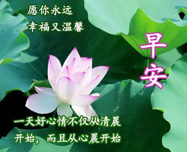 2021特别漂亮的早上好图片,每日最新早安图片