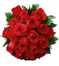 诗玫瑰恭祝梅竹苑869建馆两周年生日快乐!(祝福音画)