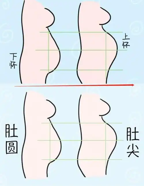 胎儿|怀孕|胎儿性别|大肚子_网易订阅