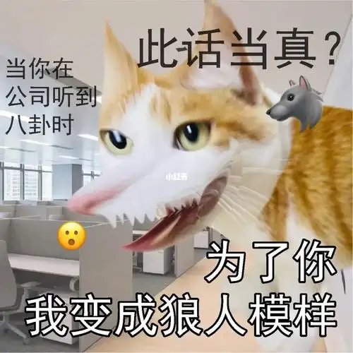 主要是工作带给我的灵感,不说了,懂得都懂#表情包  #奇奇怪怪表情包