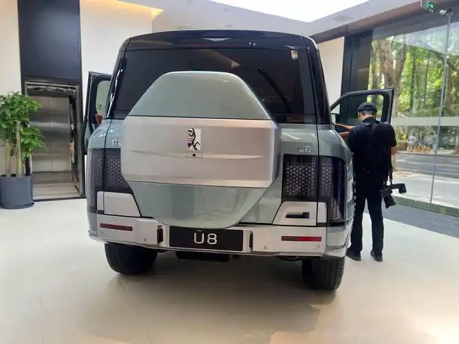 目前国产车的话,标志就是新能源汽车.