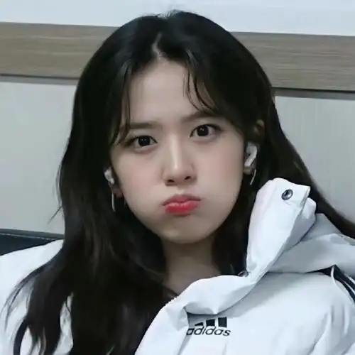 安宥真 の 头像 /图源见logo 676767侵删