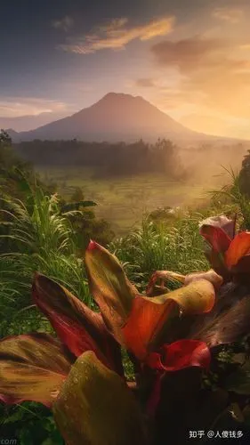 求苹果11promax高质量壁纸无水印