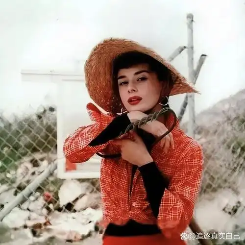 自制了几张赫本的头像,表达对她的喜欢!