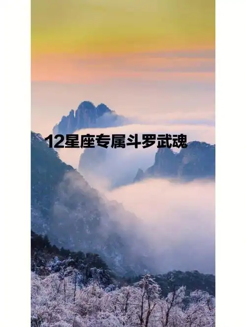 12星座专属斗罗武魂