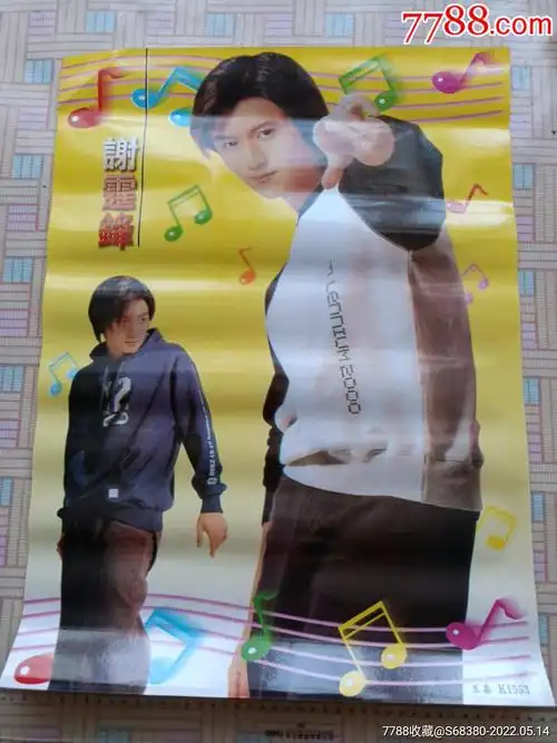 明星海报谢霆锋