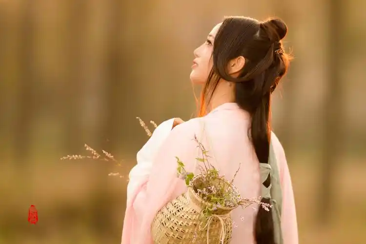 《粉蓼醉清秋》, 云成雨古风唯美写意人像