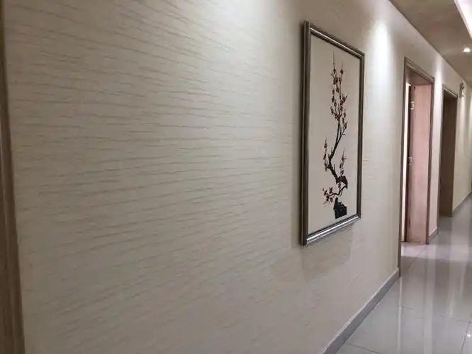 厂家直销格蓝美意大利米洞石高档别墅排屋酒店硅藻泥环保涂料干粉