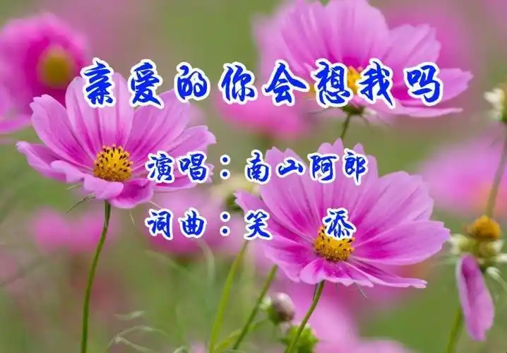 《亲爱的你在想我吗》原唱是谁