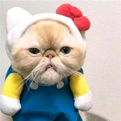 你历经山河走向我胜过所有遥远的温柔可爱搞怪的二次元抖音情侣头像