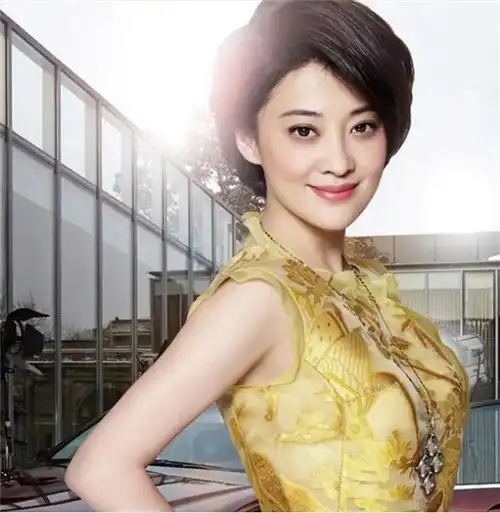 回顾为丈夫花400万却惨遭离婚37岁再嫁摄影师的梅婷怎样了