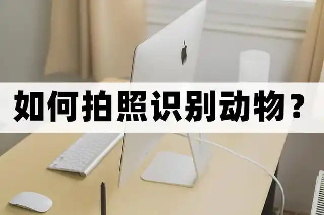 如何拍照识别动物?识别动物的方法