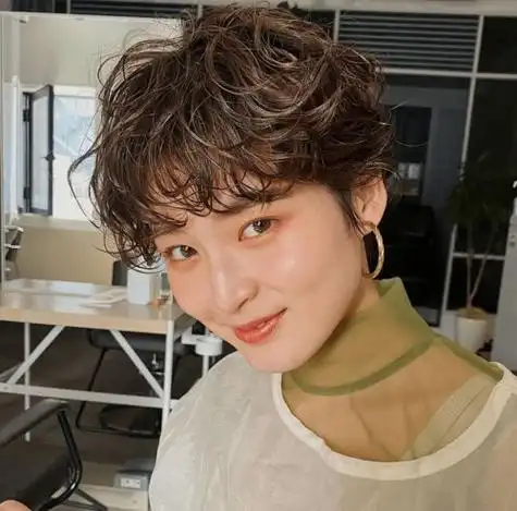 超短发烫发小卷蓬蓬头 - 搜狗图片搜索