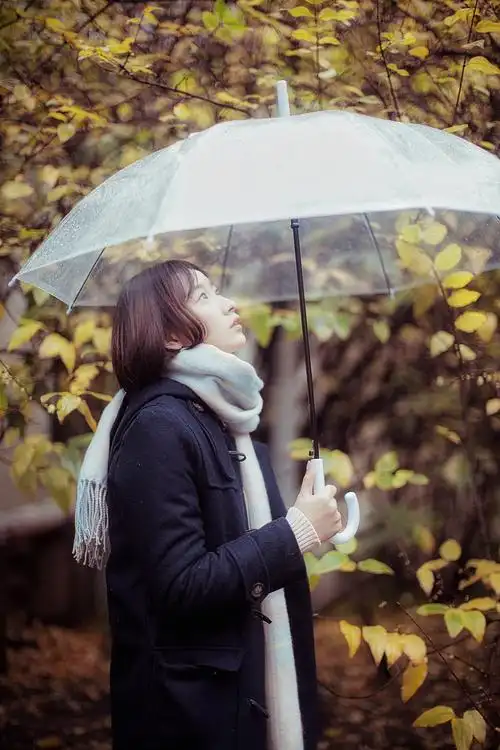 一个人好累一个人擦泪一个人撑伞爱上你我总在学会 寂寞的滋味谁和我