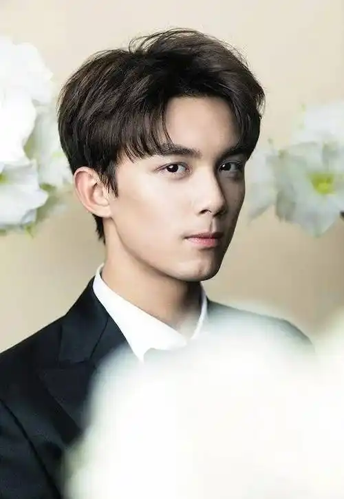 中国内地男演员,代表作《红楼梦》《微微一笑很倾城》《你是我的荣耀