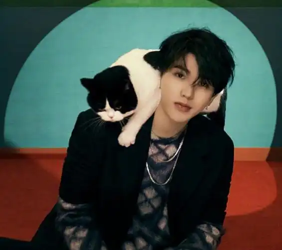 微博之夜男明星大片黄子韬招牌手势帅气但蔡徐坤与众不同