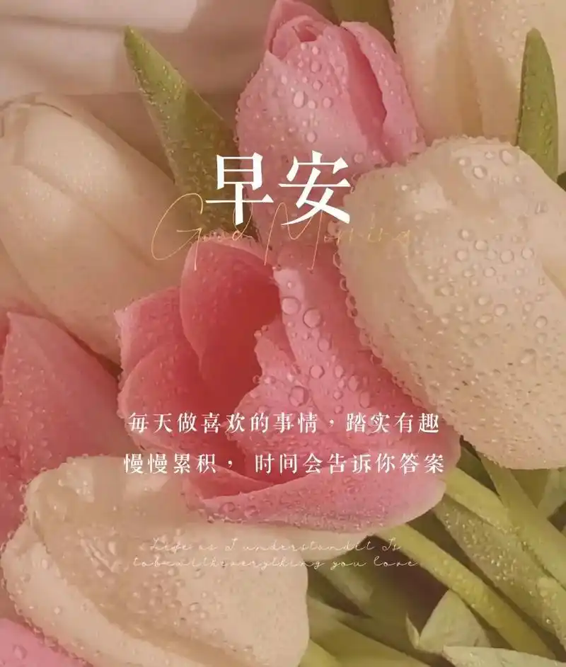 7715good morning92 被生活叫醒了,       - 抖音